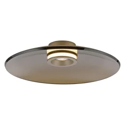 Ściemnialna lampa sufitowa PURE MOON BRĄZOWY (6095-97) - Paul Neuhaus