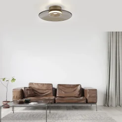 Ściemnialna lampa sufitowa PURE MOON BRĄZOWY (6094-97) - Paul Neuhaus