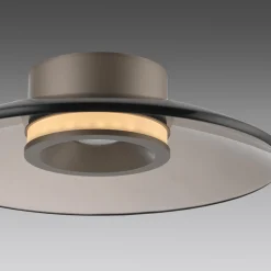 Ściemnialna lampa sufitowa PURE MOON BRĄZOWY (6094-97) - Paul Neuhaus