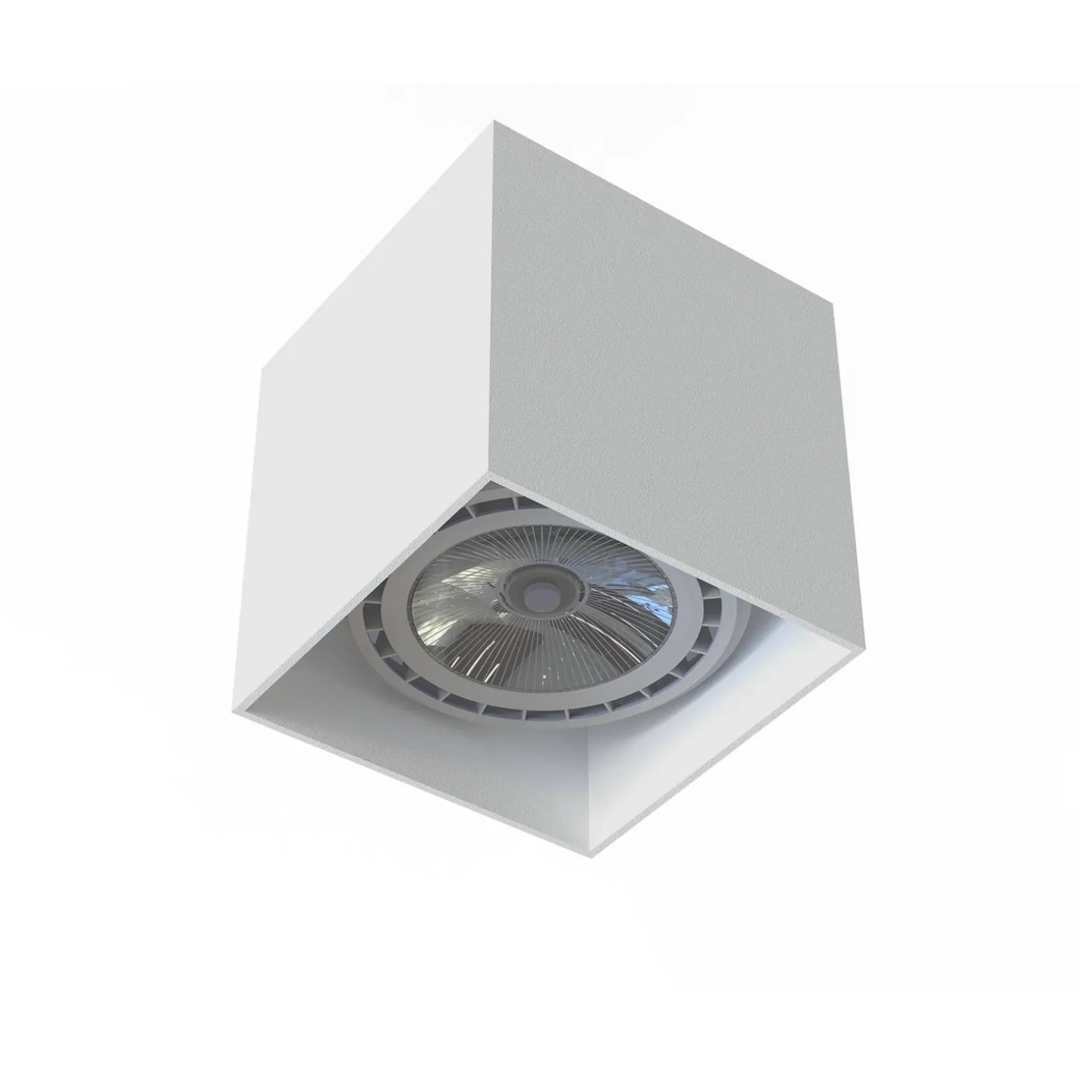 COBBLE (7791) - Nowodvorski