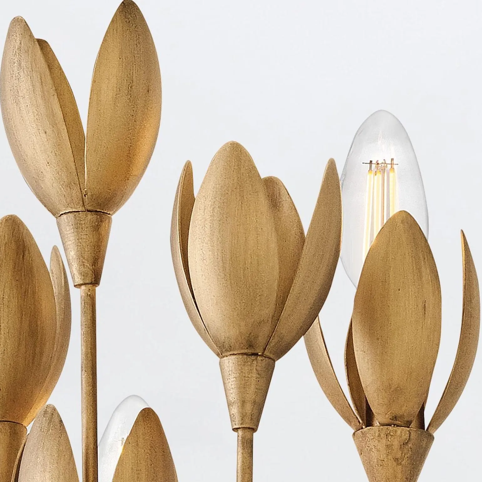 Designerski kinkiet Flora - 3 źródła światła - Oksydowane złoto (QN-FLORA-3W-GD) - Quintiesse