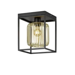 Lampa Sufitowa Caydo (21294) - Fischer&Honsel