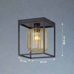 Lampa Sufitowa Caydo (21294) - Fischer&Honsel