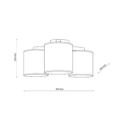 Lampa sufitowa DEVA NATURE 3 PŁ (6865) - TK Lighting