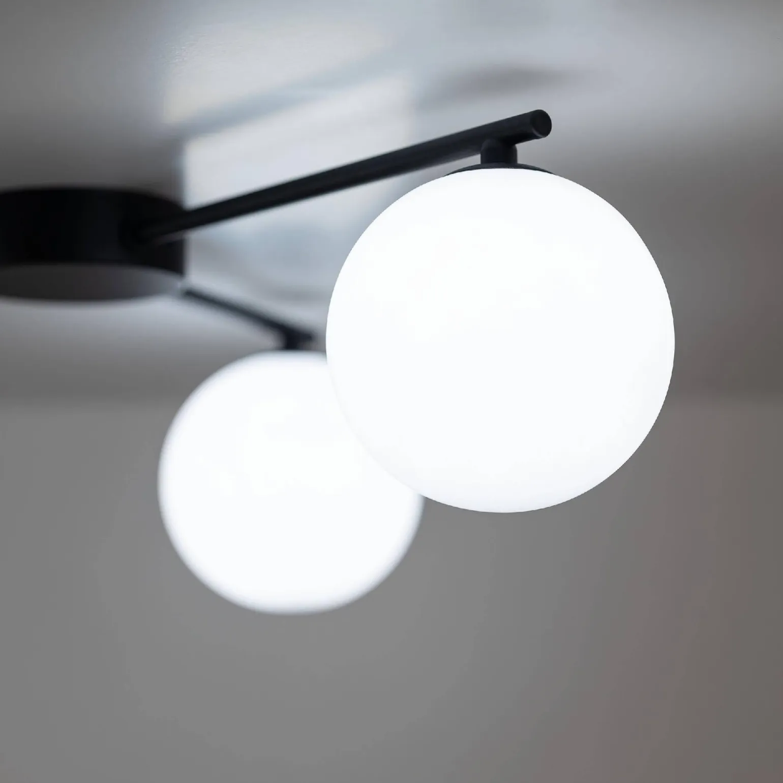 Lampa sufitowa ELTON BLACK 3 (10261) - TK Lighting