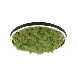 LAMPA SUFITOWA GREEN RITUS (15391-66) - Paul Neuhaus