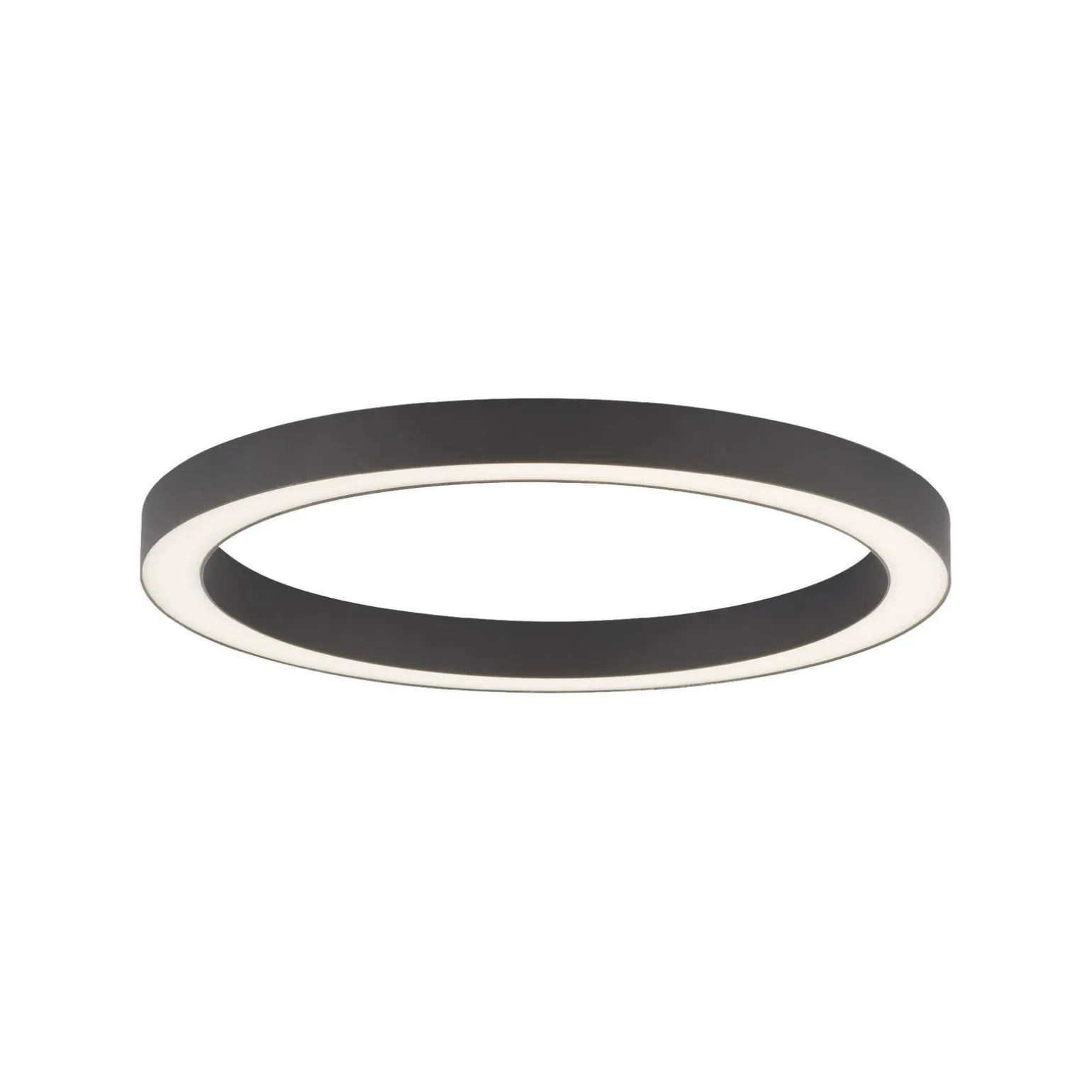 Lampa sufitowa PURE-LINES (6309-13) - Paul Neuhaus