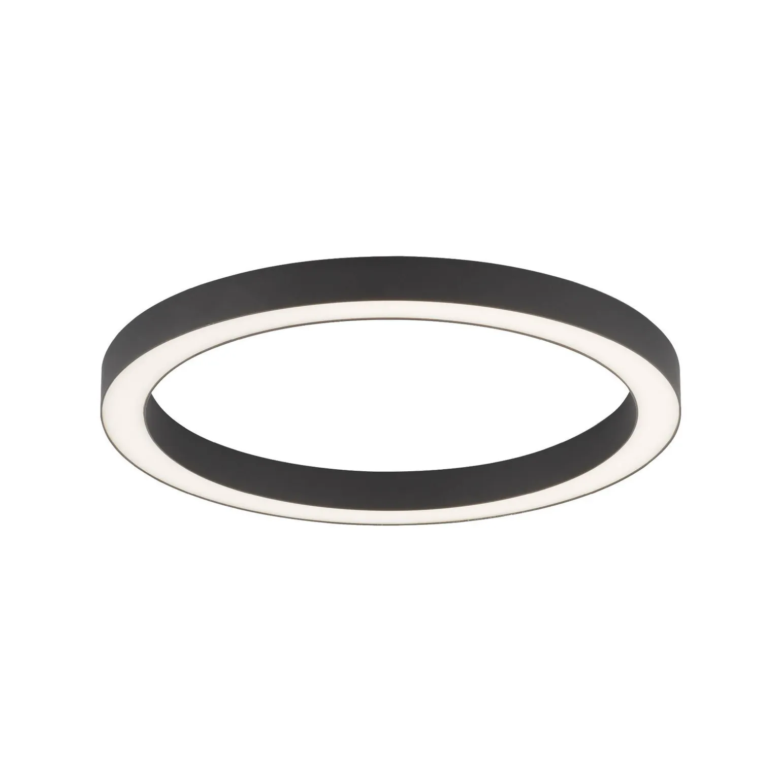 Lampa sufitowa PURE-LINES (6309-13) - Paul Neuhaus