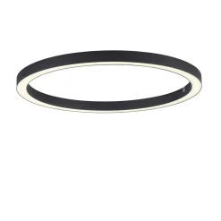 Lampa sufitowa PURE-LINES (6306-13) - Paul Neuhaus