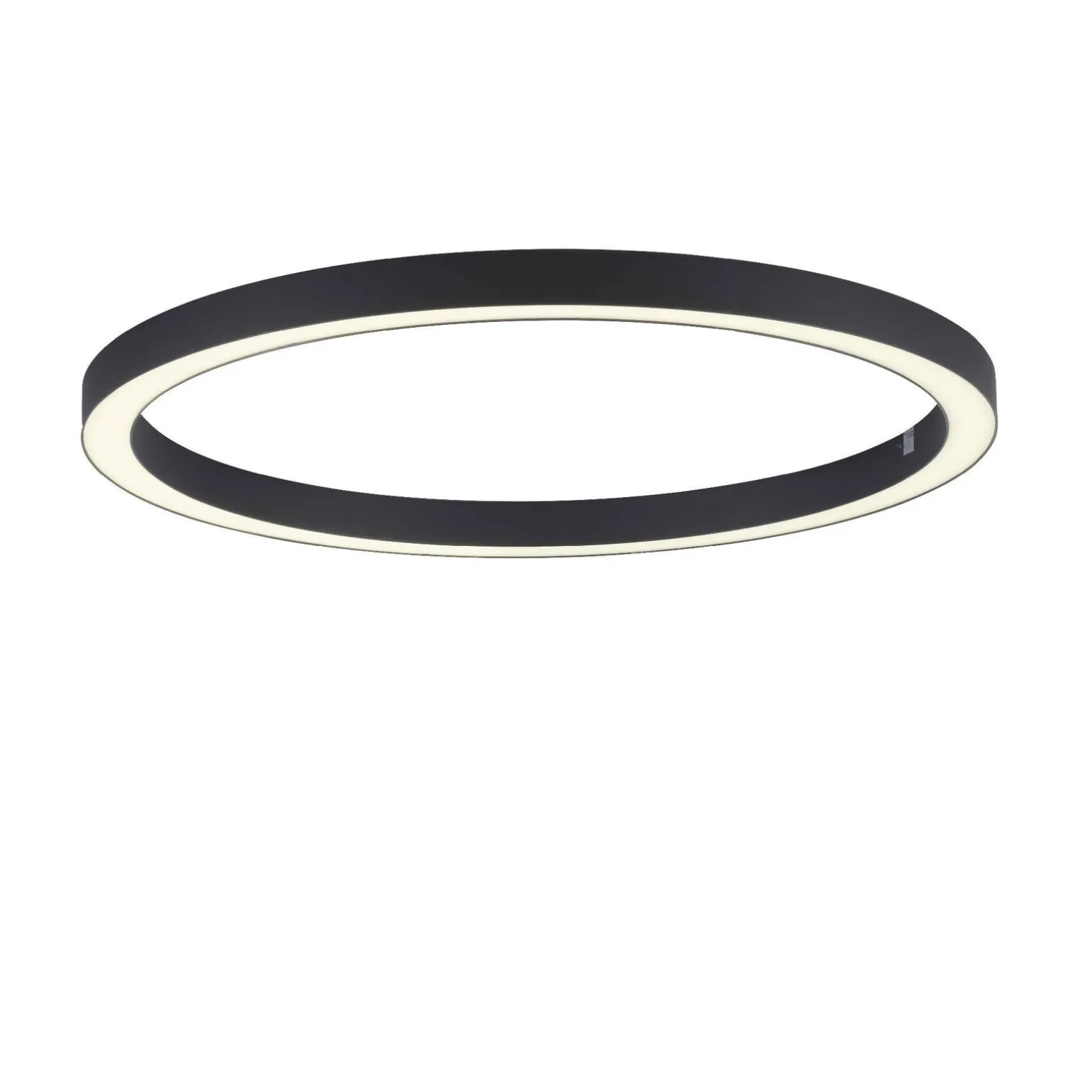 Lampa sufitowa PURE-LINES (6306-13) - Paul Neuhaus