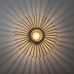 Lampa sufitowa RACOON (11410-79) - Paul Neuhaus