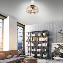 Lampa sufitowa RACOON (11410-79) - Paul Neuhaus