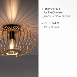 Lampa sufitowa RACOON (11410-79) - Paul Neuhaus