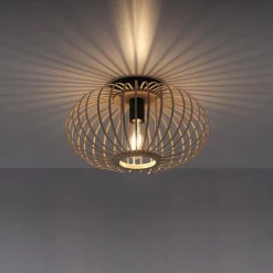 Lampa sufitowa RACOON (11410-79) - Paul Neuhaus