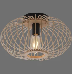 Lampa sufitowa RACOON (11410-79) - Paul Neuhaus