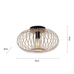 Lampa sufitowa RACOON (11410-79) - Paul Neuhaus