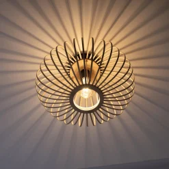 Lampa sufitowa RACOON (11410-79) - Paul Neuhaus