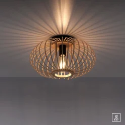 Lampa sufitowa RACOON (11410-79) - Paul Neuhaus