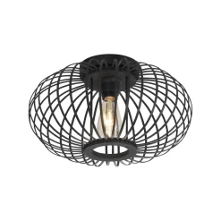 Lampa sufitowa RACOON CZARNA (11410-18) - Paul Neuhaus