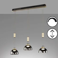 Lampa wisząca Avignon (61014) - Fischer&Honsel