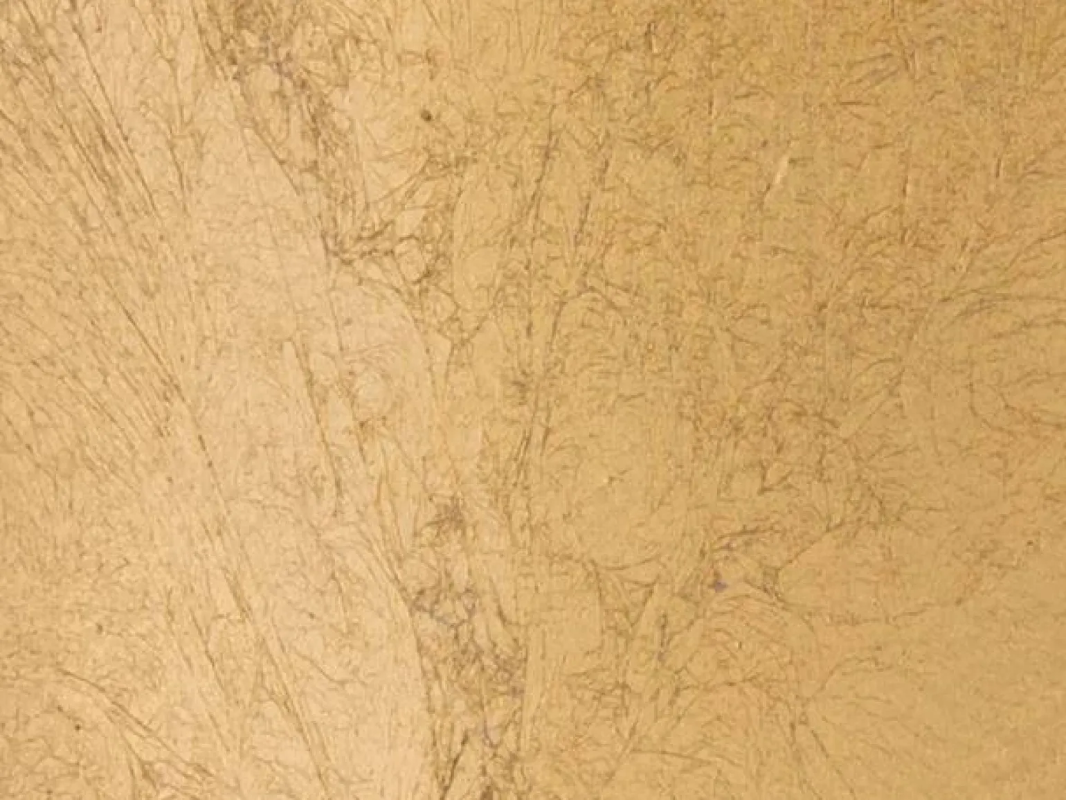 Lampa wisząca Avignon (61014) - Fischer&Honsel