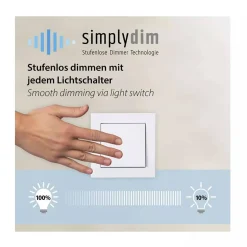 Lampa wisząca LAUTADA (2081-18) - Paul Neuhaus