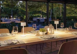 Lampka stołowa solarna ELSE LED DIM USB-C 3,7W 250lm 2700K IP44 biały / aluminium (PL94879) - PAULMANN