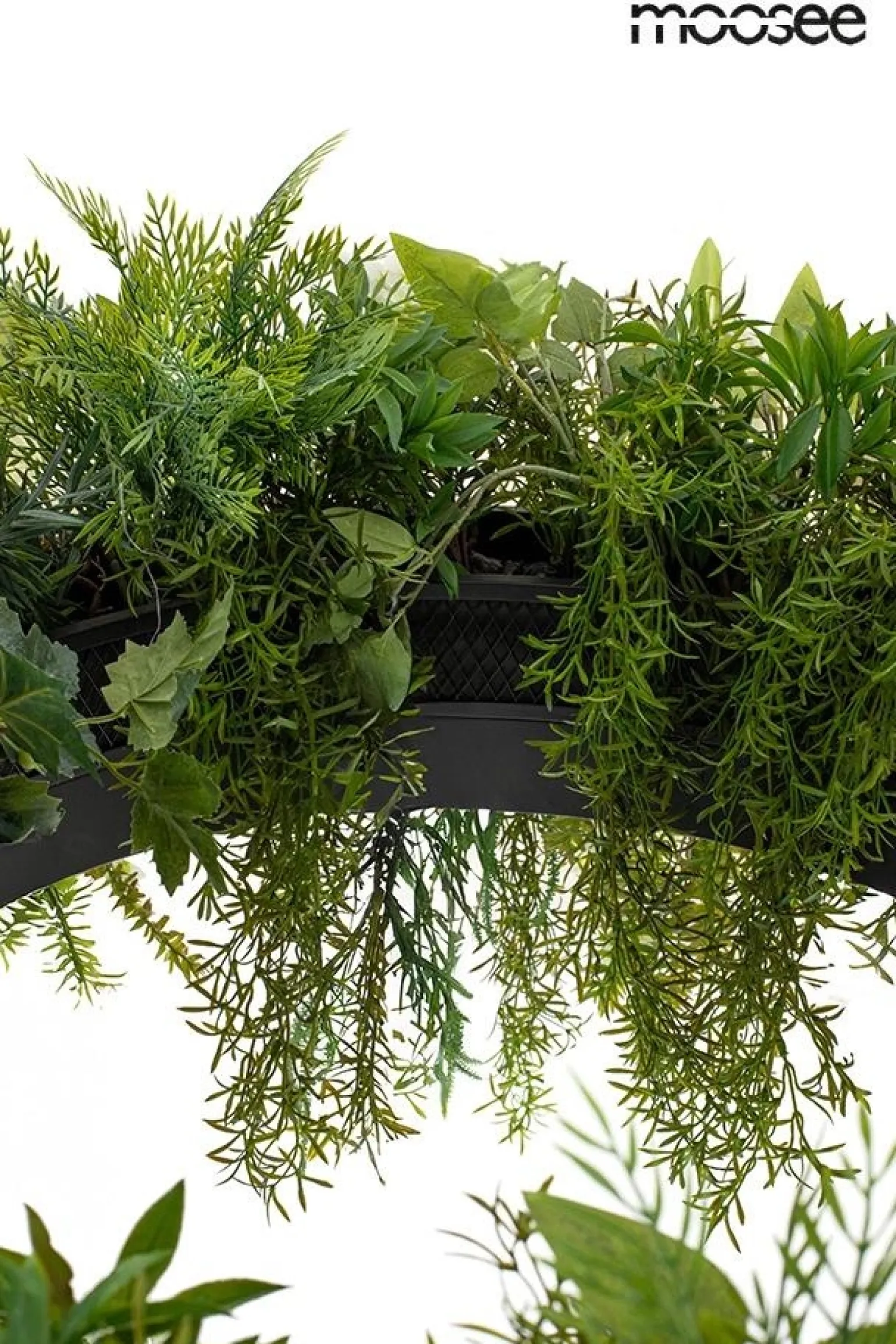 MOOSEE lampa wisząca GARDENS 50 czarna (MSE1501100557) - Moosee