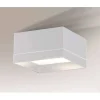 Oprawa natynkowa TOSA LED (biały) (7070) - Shilo