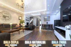 Plafon LED okrągły Złoty 500*45mm 36W - trzy barwy, ściemnialny - Pilot (Abigali-MD1803-R50-Y-G)