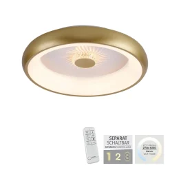 Plafon VERTIGO ceiling light brass matt body (14384-60) - Paul Neuhaus