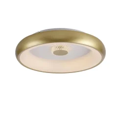 Plafon VERTIGO ceiling light brass matt body (14384-60) - Paul Neuhaus