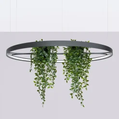 Żyrandol RIO BIO 110 czarny LED 3000K (TH.555) - Thoro Lighting