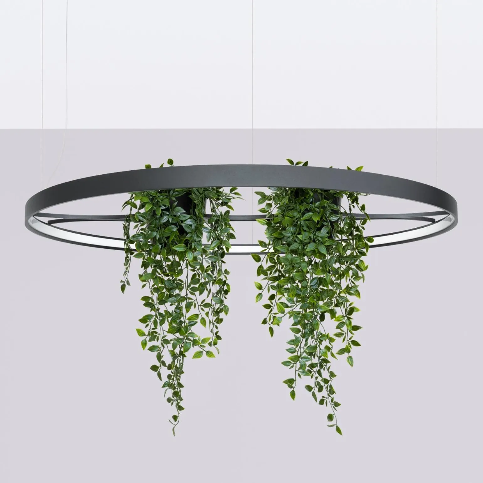 Żyrandol RIO BIO 110 czarny LED 4000K (TH.556) - Thoro Lighting