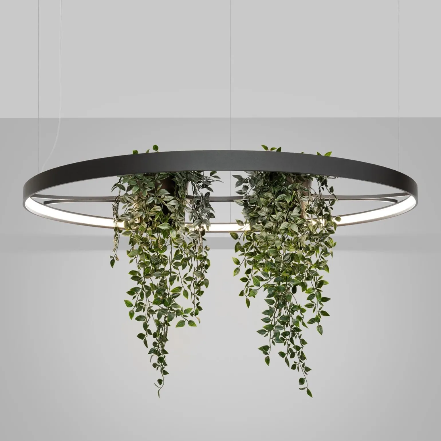 Żyrandol RIO BIO 110 czarny LED 4000K (TH.556) - Thoro Lighting