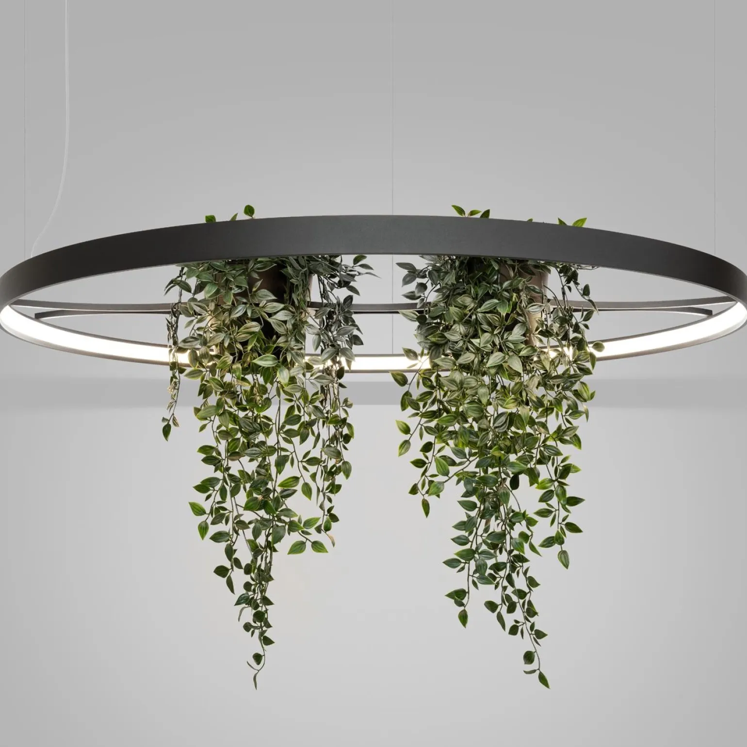 Żyrandol RIO BIO 110 czarny LED 4000K (TH.556) - Thoro Lighting