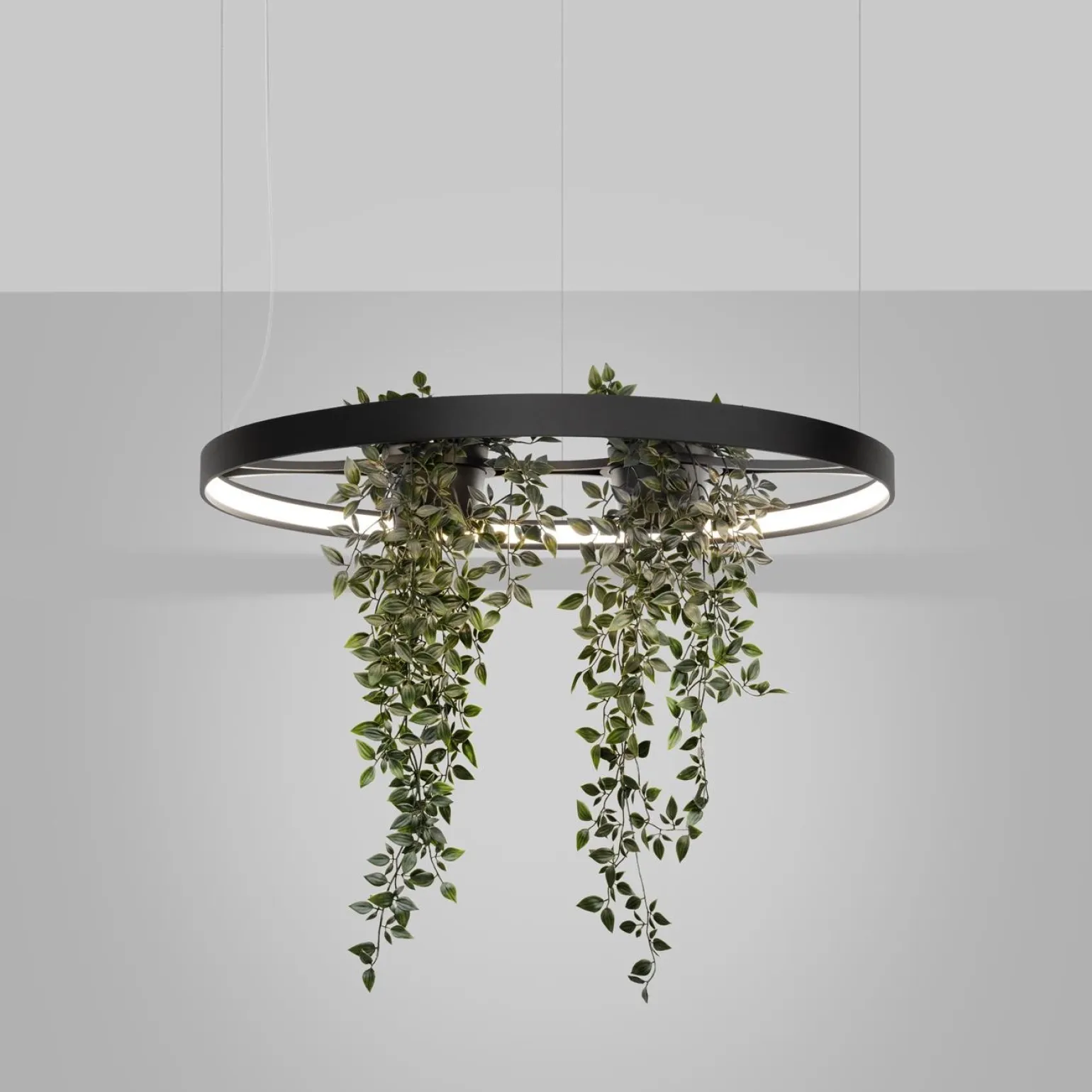 Żyrandol RIO BIO 78 czarny LED 4000K (TH.552) - Thoro Lighting